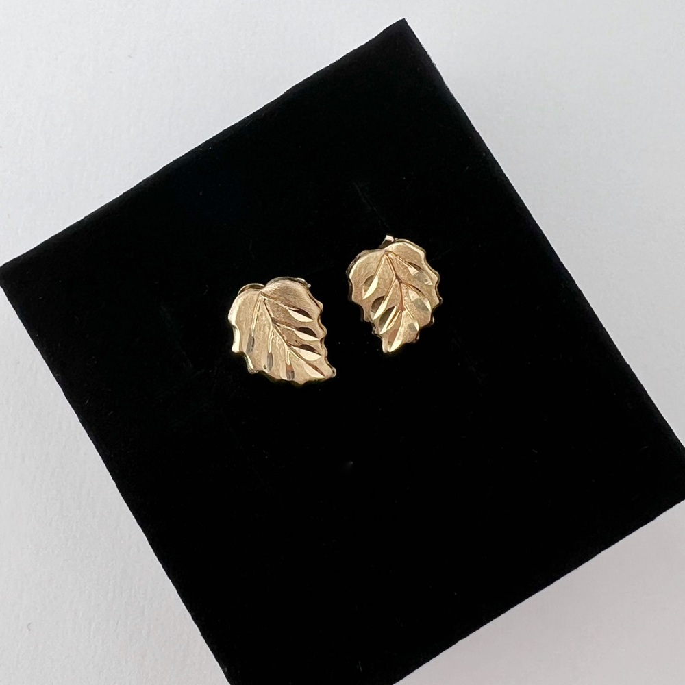14l Gold Earrings